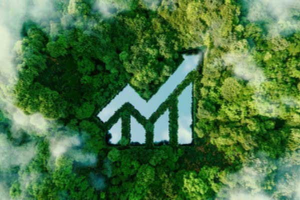 离开公司职员身份，我真的就一个人了(2025年02月27日)